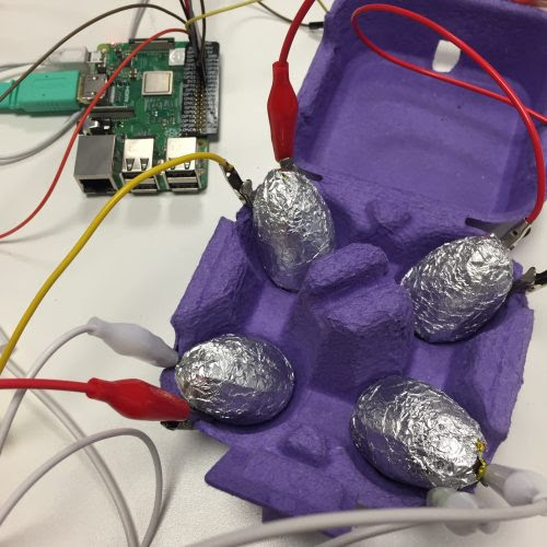 raspberry-pi-eggs-148
