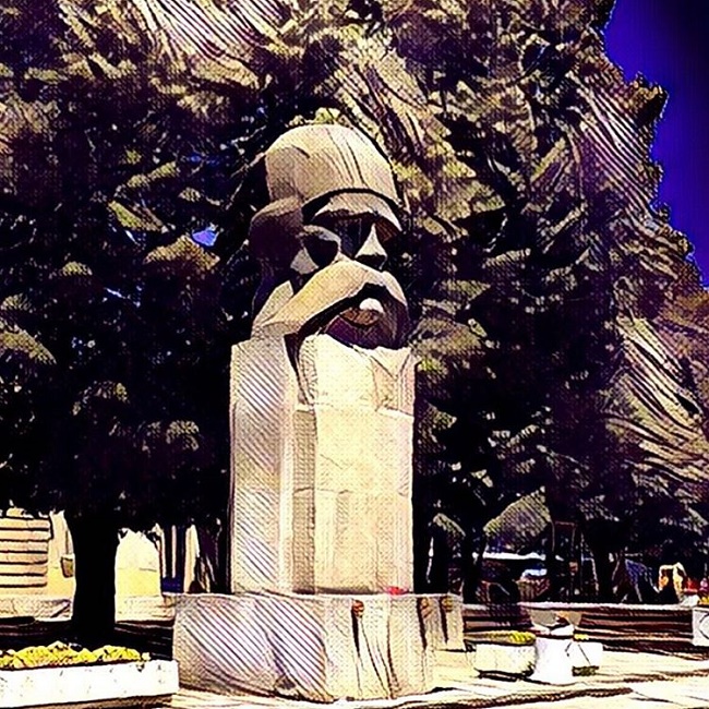srbija-na-instagramu-valjevo-vuk-pod-prisma